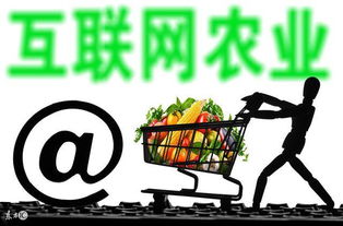 未来20年农民工将消失 看看马云是怎么预言的吧